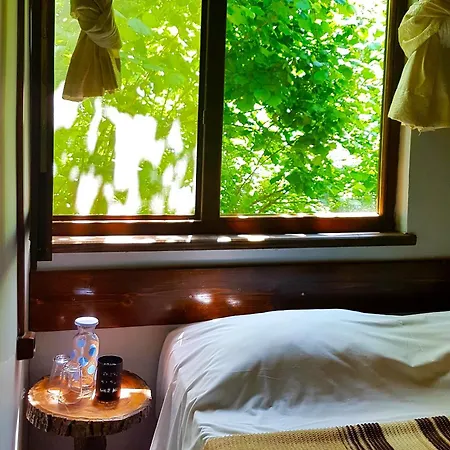 山林小屋 克雷山林小屋 *
