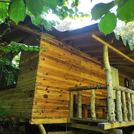 克雷山林小屋
