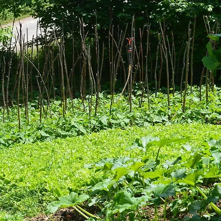 克雷山林小屋 山林小屋