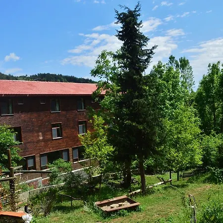 山林小屋 克雷山林小屋 *