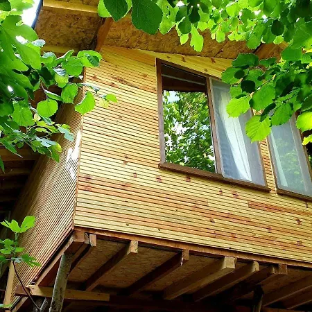 Kure Dag Evi Деревянный коттедж