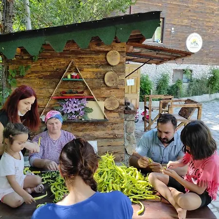 Kure Dag Evi