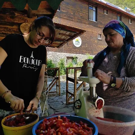 Деревянный коттедж Kure Dag Evi