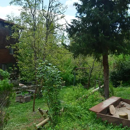 Kure Dag Evi