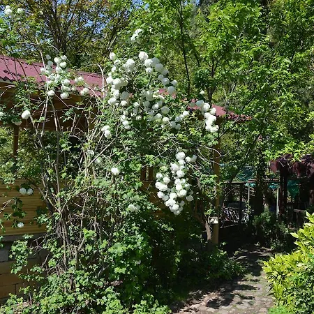 Kure Dag Evi *